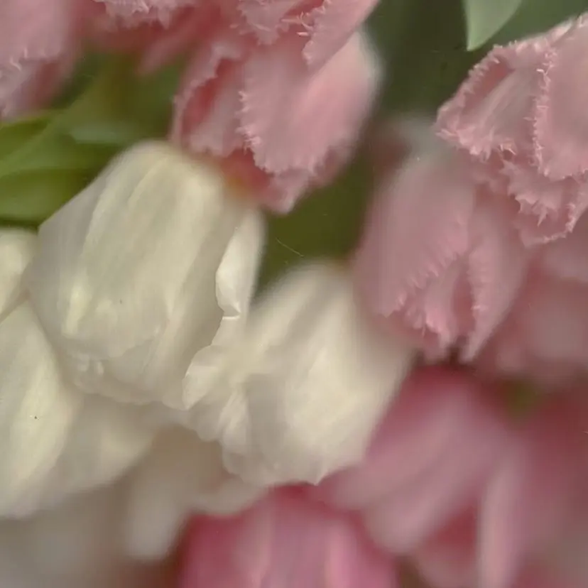 アイブロウ/脱毛/ 肌質改善🌷RINAの掲載