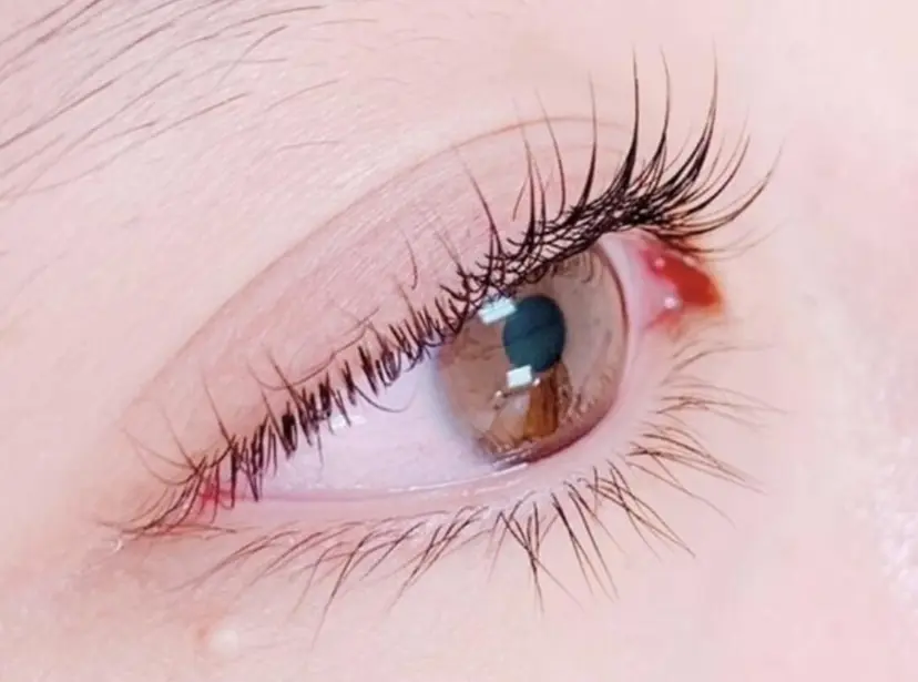 Sinsia 飯田橋店の掲載