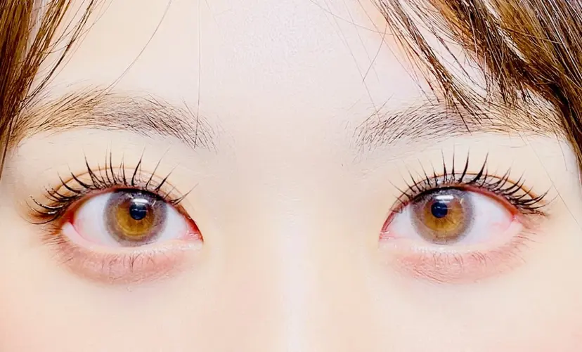 阿部 詩子の掲載