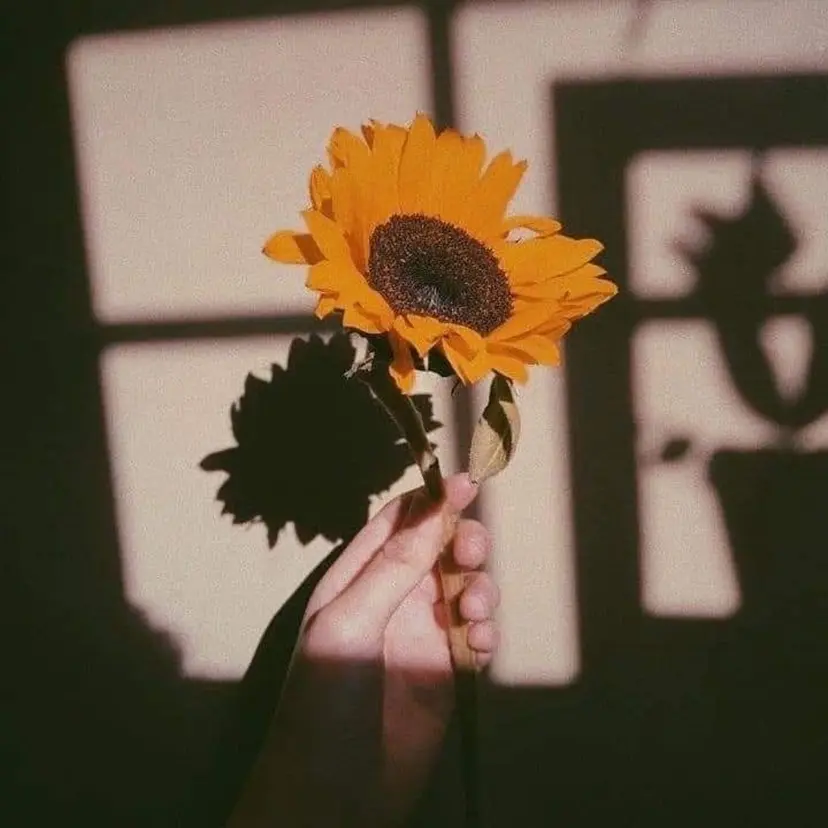 なぎ🌿.∘[ボブ, ニュアンスカラー]の掲載