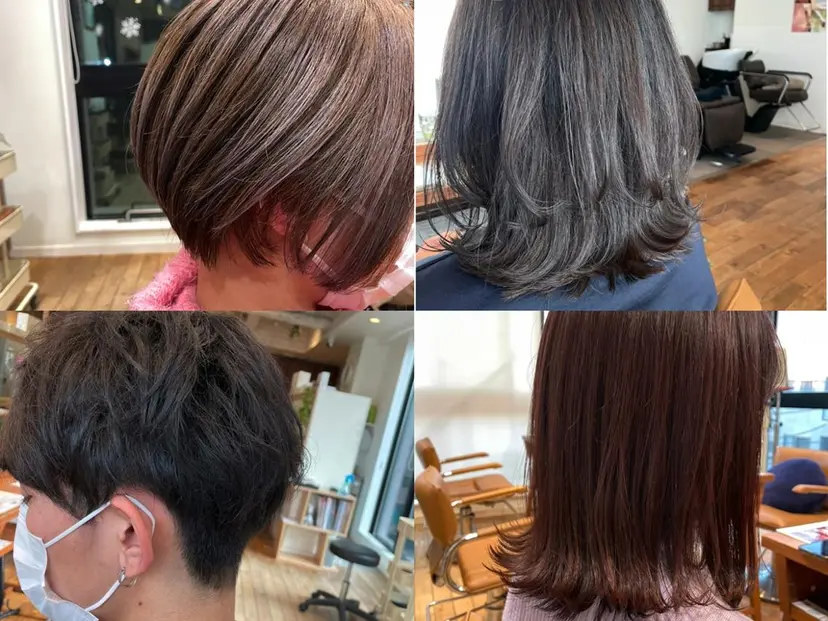 山本　恵 (やまもと  けい)の掲載