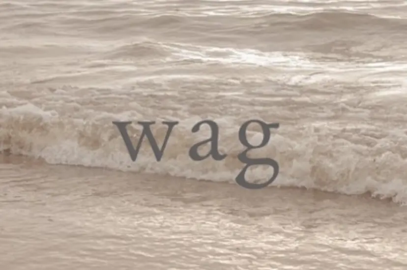 Wag 🌼IKUMIの掲載