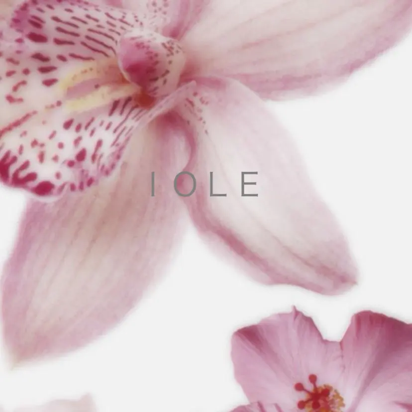 IOLE   恵比寿 shiinoの掲載