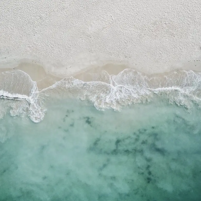植田 琴音の掲載