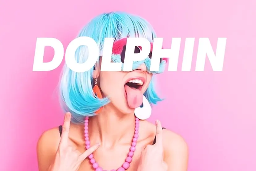 dolphin ドルフィンの掲載
