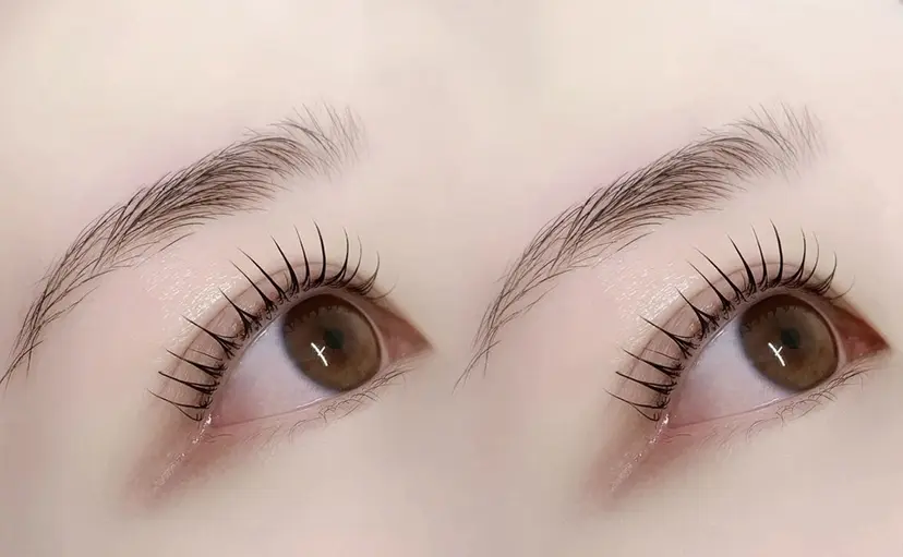 Arbis ayakaの掲載