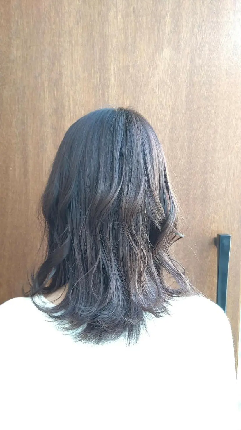 beel 【ベエル】の掲載