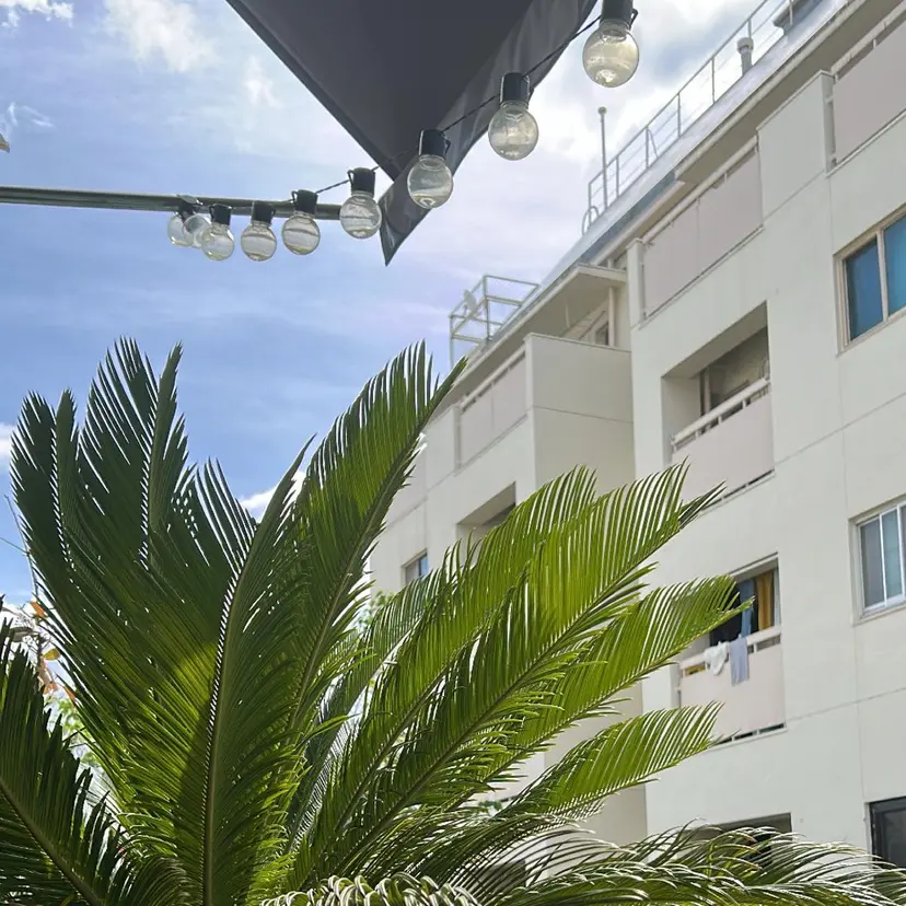 はな SPURの掲載