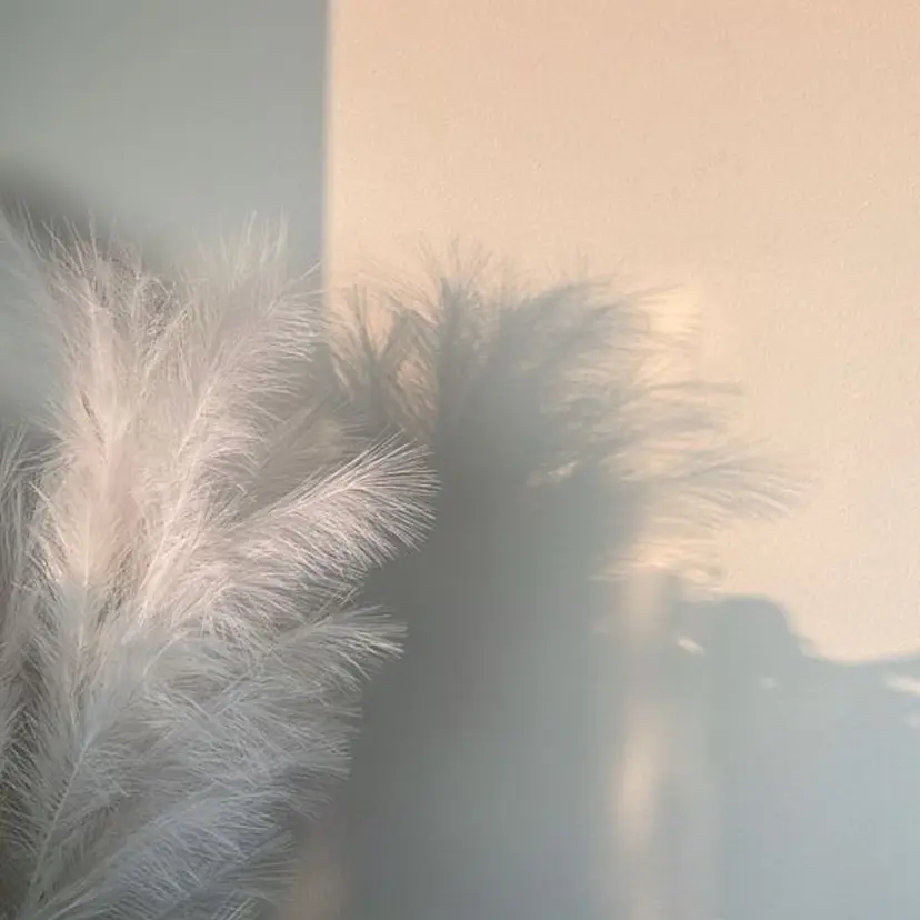 💅🏽 SHIORI🌙の掲載