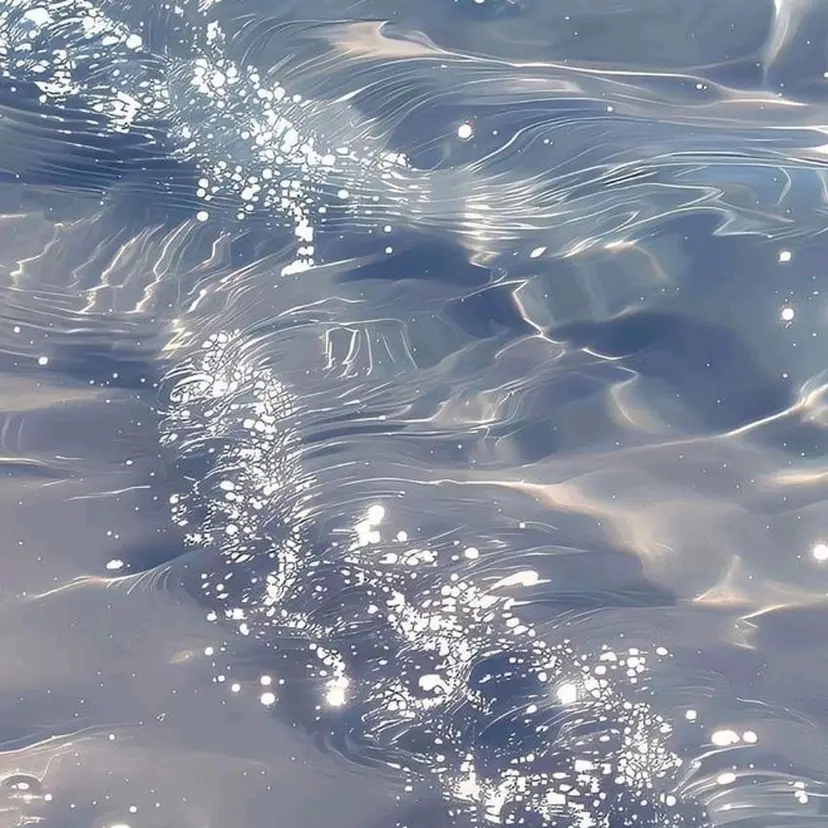 misaki /NiYの掲載