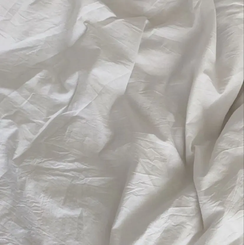 THE EYEBROW 山本の掲載