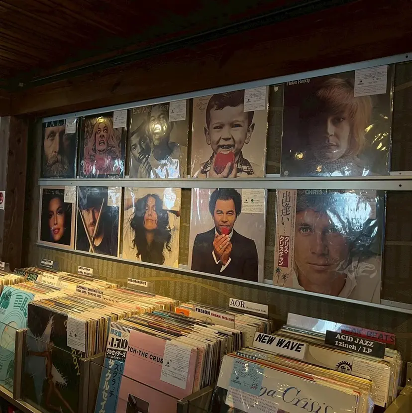 濱崎 あかりの掲載