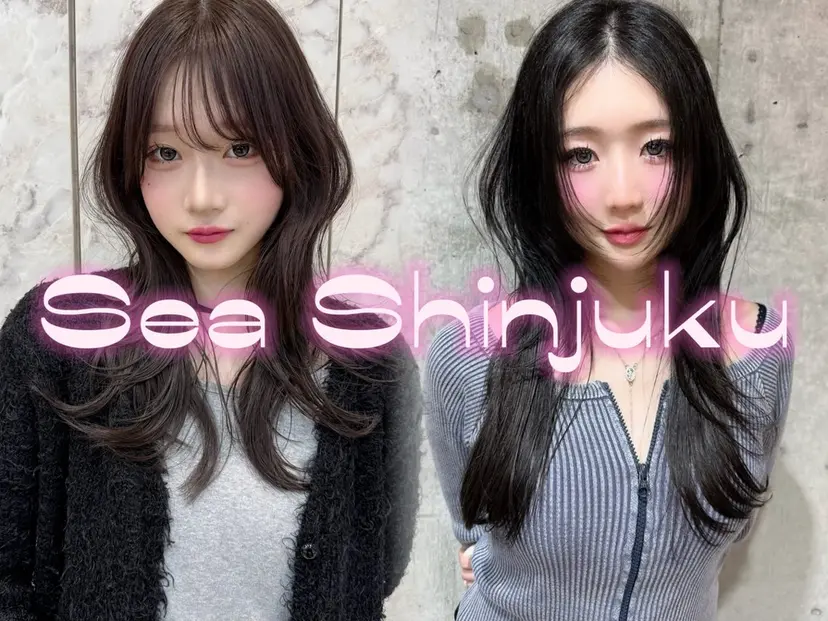 ハッシュカット/ 韓国レイヤーTERUの掲載