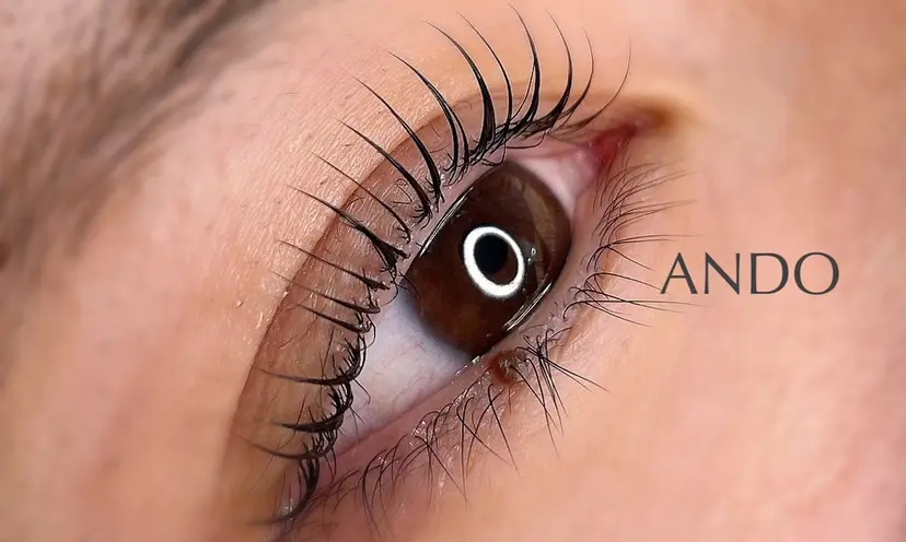 ANDO HIKARIの掲載