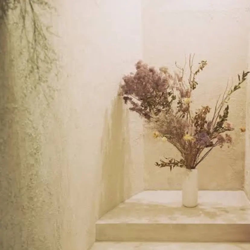 Ciel 🕊️の掲載