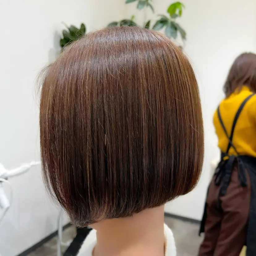 鶴岡 心斗の掲載