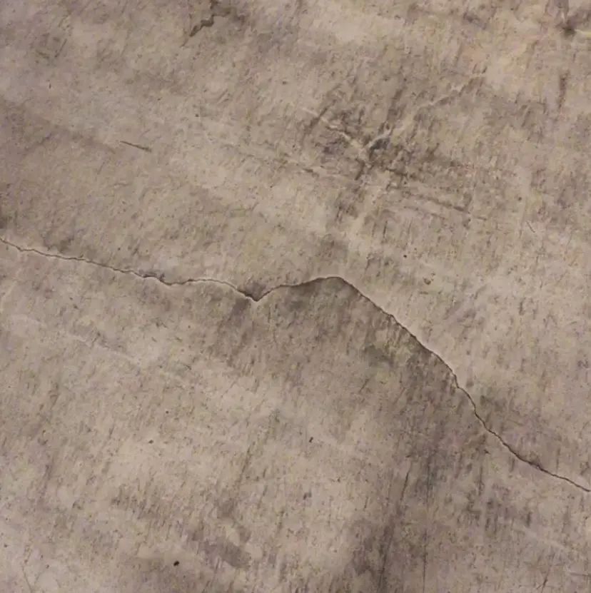 栗田 あかねの掲載