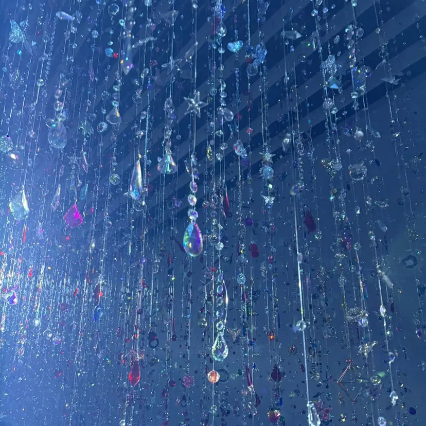 山口 綾菜の掲載