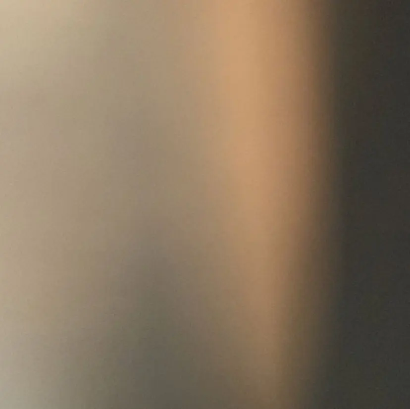 タシロ サラ🌿の掲載