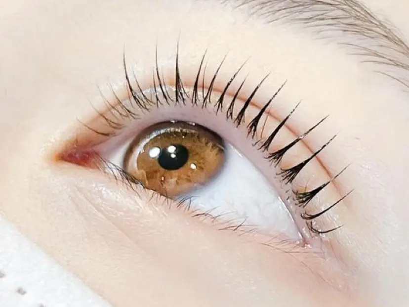 池田 寛子の掲載