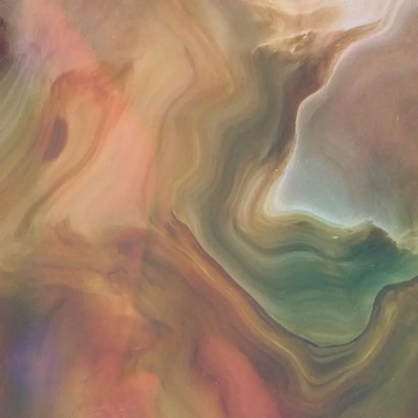 🦩Suzuki Kokoro🦩の掲載