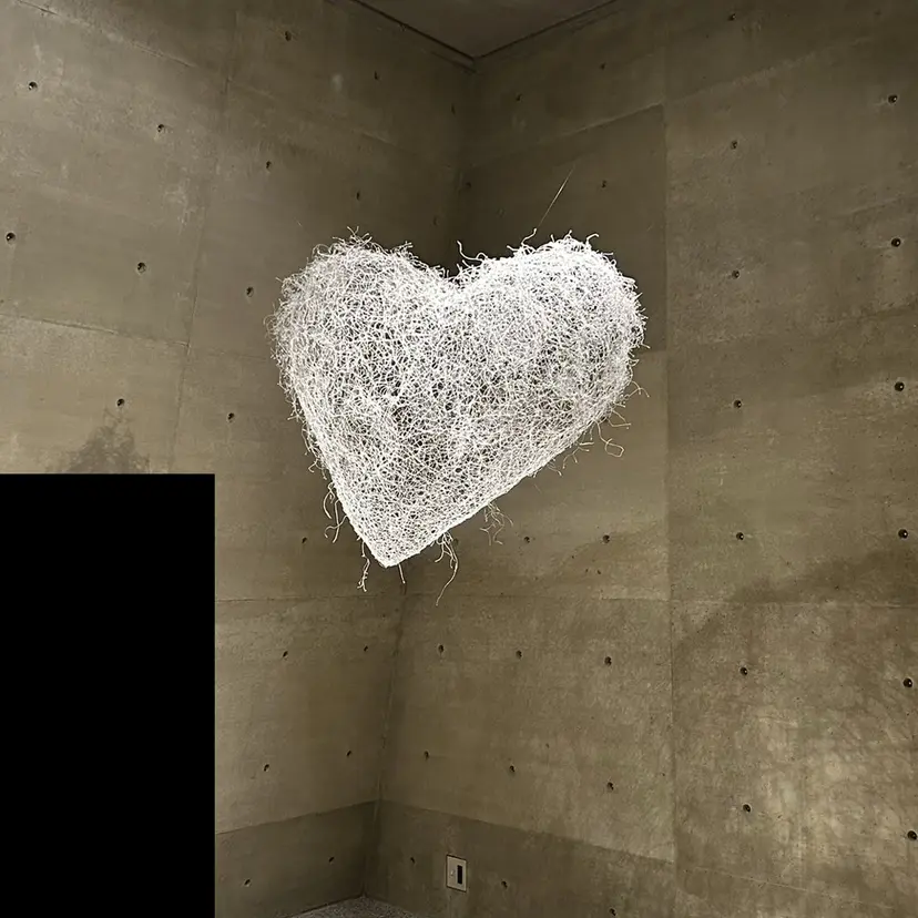 Lidee kanonの掲載