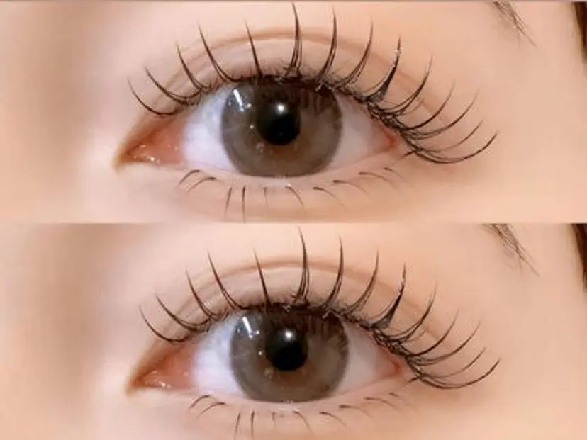 渡辺 志乃の掲載