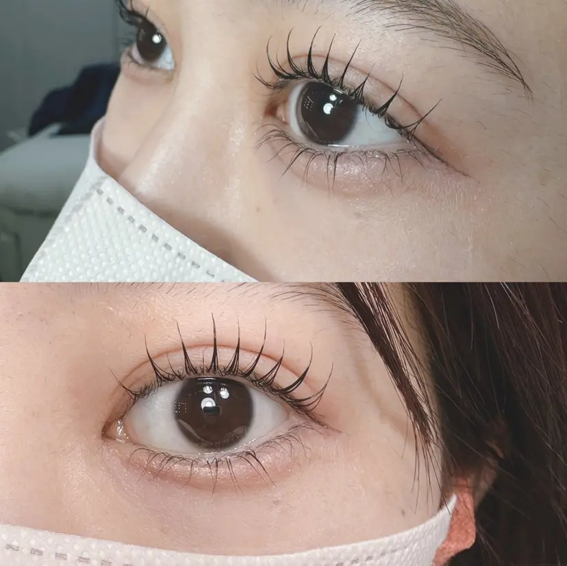 🤍 MOMO🤍の掲載