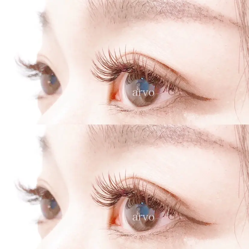 アルボ新潟万代店 上村の掲載