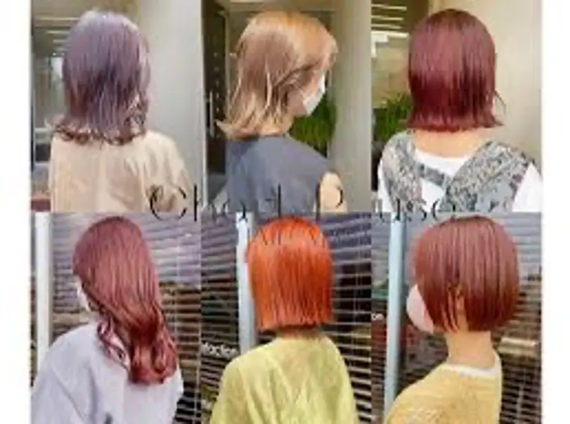 坂田 龍哉の掲載