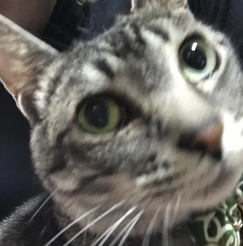 佐々木 拓海の掲載