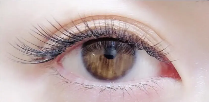 川上 彩希の掲載