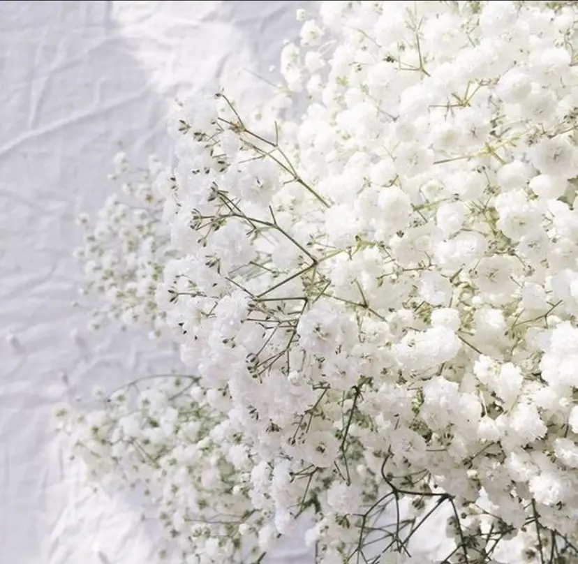 HazeGrass NAILの掲載