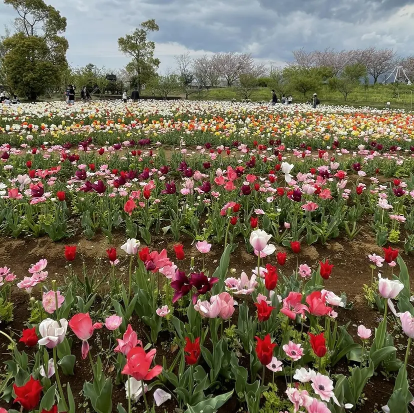 Fleurage 佐藤の掲載