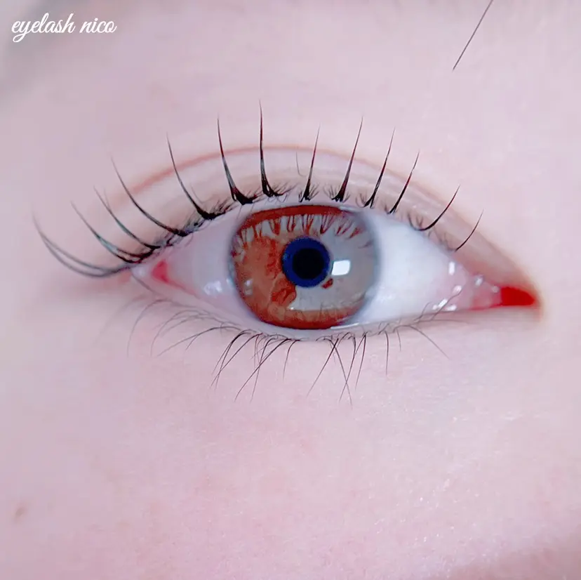 eyelash nicoの掲載