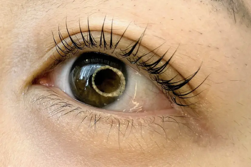 MAXまつ毛&  フェイシャルの掲載