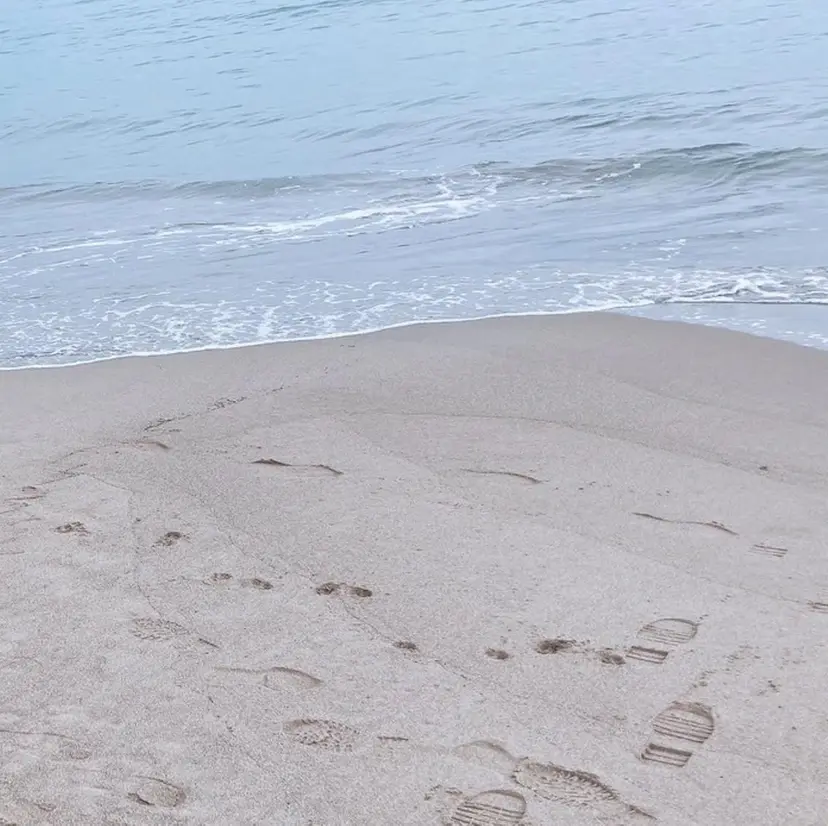 pinklagoon AOIの掲載