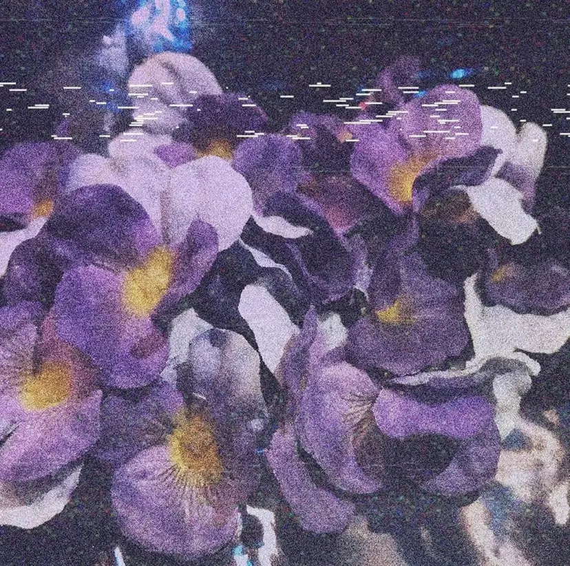 相良 美羽の掲載