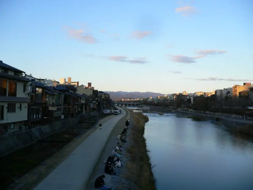 Plumeria フルバヤシミウの掲載