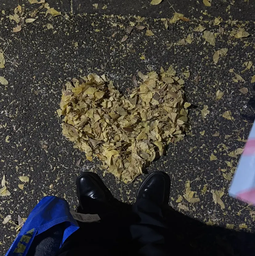 髪質改善×似合わせ カット/issaの掲載