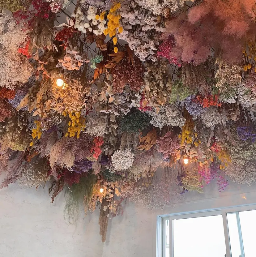 テラ mimi.3c'sの掲載