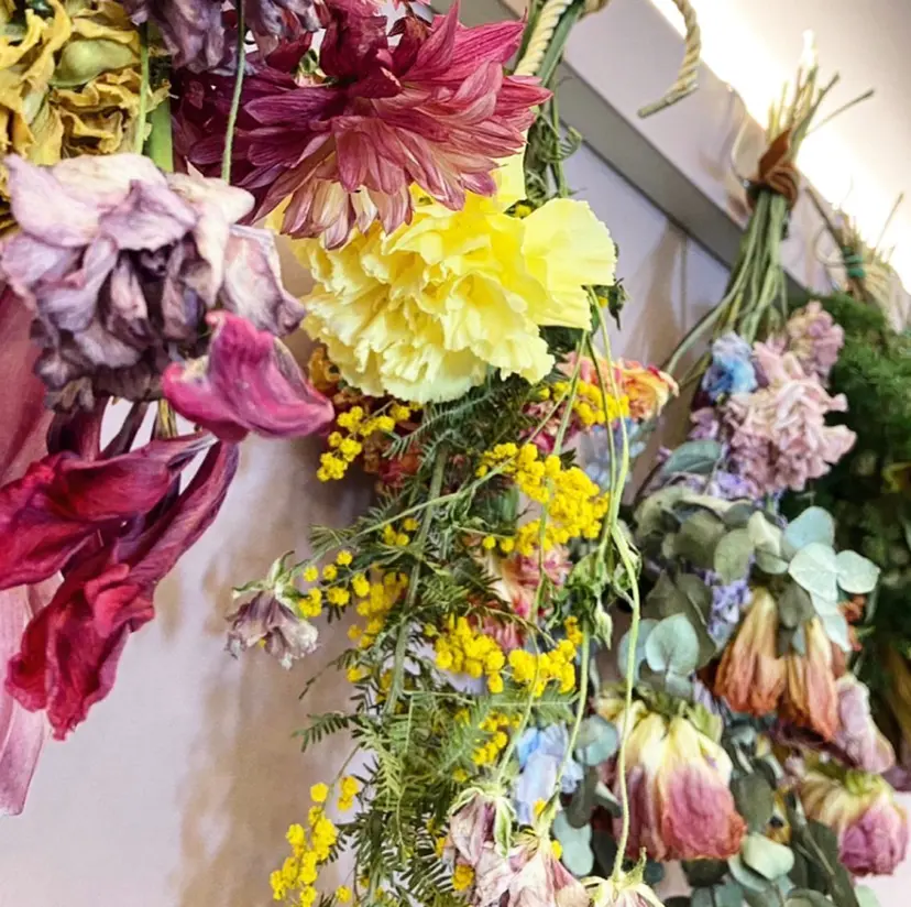 藤田 美香の掲載