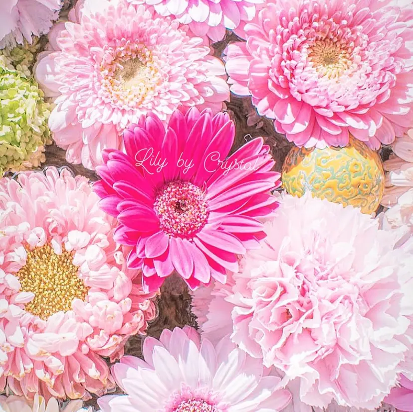 新☆Rizz西船橋 川崎の掲載