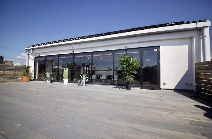 齋藤 紗矢香の掲載