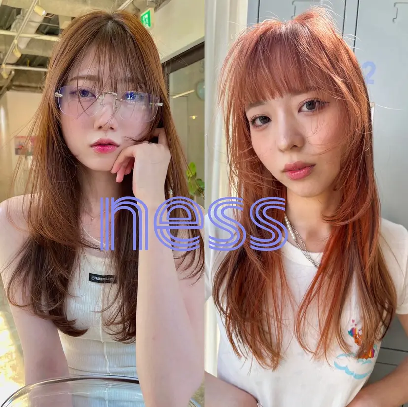 ness ネスの掲載