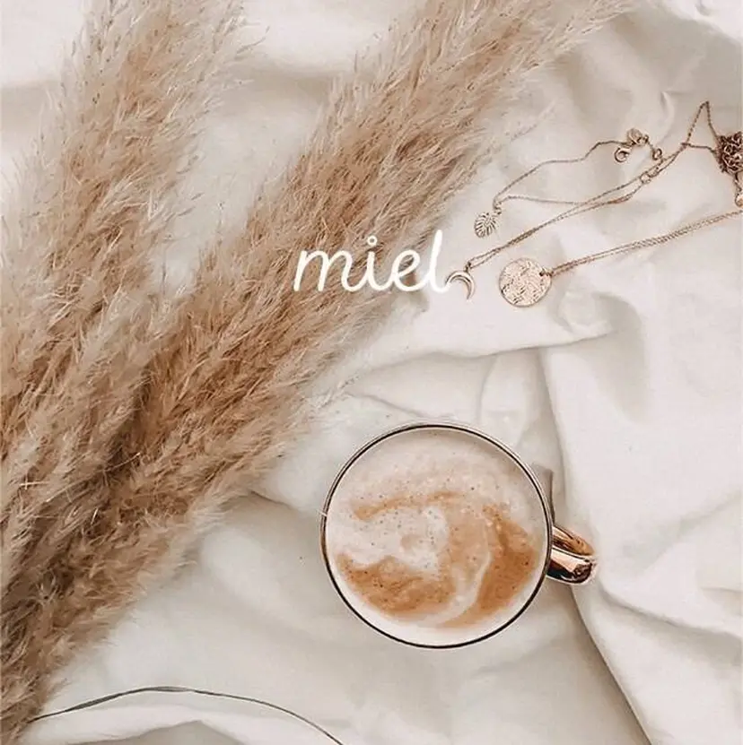 miel 保田の掲載