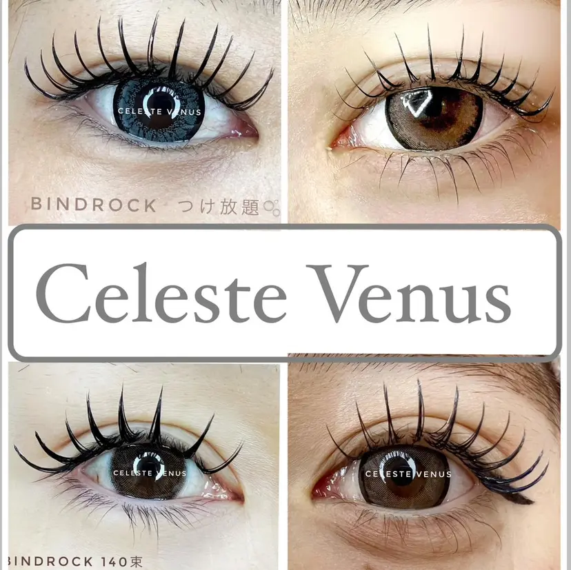 🧸Celeste Venusの掲載