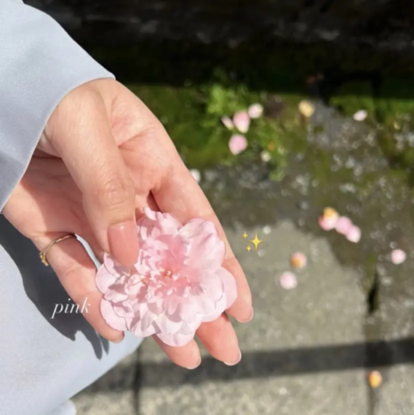 LORAN Hotaruの掲載