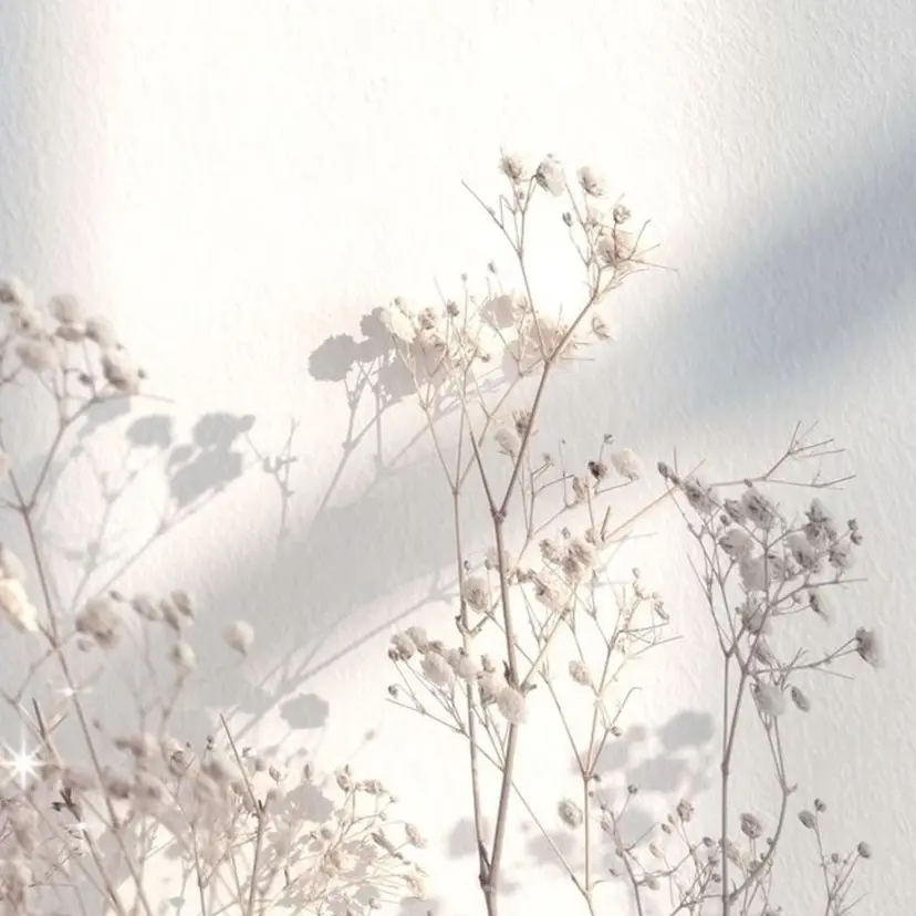 rana プライベートサロンの掲載