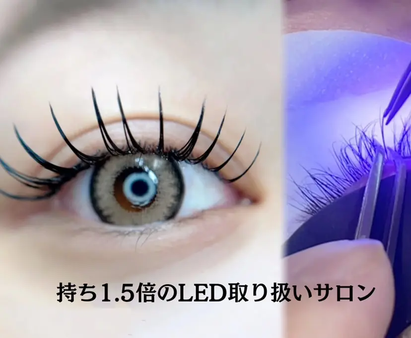 La.Foxy Staffの掲載